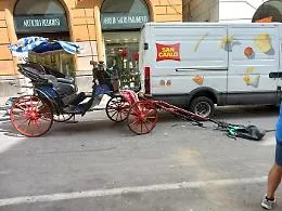 Cavallo colpito da un uomo si imbizzarrisce e fa correre in citt&agrave; un altro cavallo: danni ad un'auto e un ferito