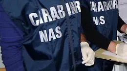 Sequestrata carne, ma anche pesce, perch&eacute; non rintracciabile la provenienza, ad uno stabilimento balneare di San Leone