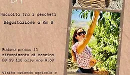 Due giornate da vivere all'ombra delle pesca di Bivona