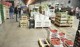 Frutta e verdura alle stelle: &laquo;Ma se il pomodoro Piccadilly sta a 50 cent?&raquo;. Viaggio al Maas, il mercato pi&ugrave; grande di Sicilia