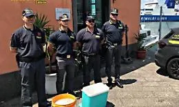 Pescatore beccato con 60 chili di "bianchetto" al porto di Catania: multa e sequestro