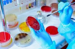 In Sicilia piattaforma per monitorare resistenza agli antibiotici. Razza: &laquo;Strumento fondamentale, tra i primi in Italia&raquo;