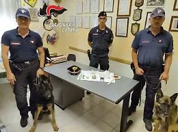 Aveva allestito una rivendita di droga in casa: denunciato