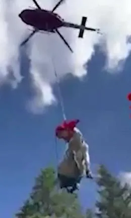Mucca salvata dai vigili del fuoco: era caduta in un crepaccio