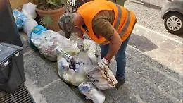 Agrigento, rifiuti non differenziati: scattano le multe per alcuni esercenti