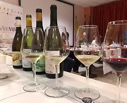 Musica, spettacoli, arte, food: quanti eventi nelle cantine siciliane