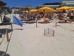 Lampedusa, all'Isola dei Conigli e alla Guitgia la schiusa delle uova di Caretta Caretta