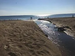 A Catania il canale Arci &egrave; esondato, rifiuti e scarichi finiti in mare: che cosa non ha funzionato?