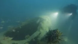 Da 80 anni sotto il mare, ora gli Usa cercano i resti dell'aviatore