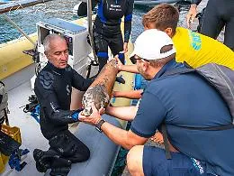 Un'anfora &laquo;Spatheion&raquo; recuperata nel mare di Ustica