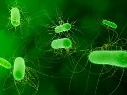 Iss, rischio listeria in sette alimenti: ecco quali sono
