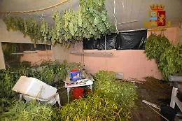 Vittoria, il fabbricato dove si produceva marijuana
