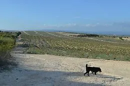 &laquo;No allo scempio del Val di Noto&nbsp; e delle sue terre&raquo;
