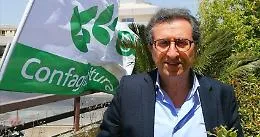 Pirr&egrave;: &laquo;Noi a sostegno degli imprenditori dal 1920, ecco perch&eacute; conviene associarsi a Confagricoltura&raquo;