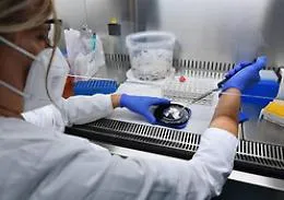 Covid, bollettino del 24 ottobre: in Sicilia i nuovi positivi sono 542