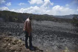 Tanzania: incendi sul Kilimangiaro, accesi nuovi focolai