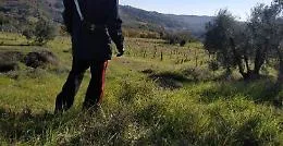 Operaio si lancia da escavatore che sta per ribaltarsi ma batte la testa e muore