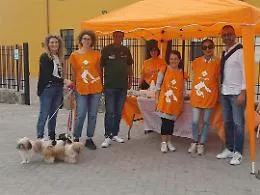 Cianciana, successo per la giornata di microchippatura gratuita