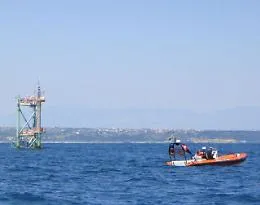 Trivelle:Wwf, grave errore, Governo scommetta su rinnovabili