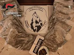 Catania, in auto con 11 chili di marijuana: avrebbe fatto 20 mila dosi e guadagnato 100 mila euro
