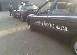 Palermo: guardie zoofile liberano cani in cattivit&agrave;