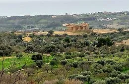 "Valle dei Templi Oil and Wine" alla scoperta del valore&nbsp; del Nero d'Avola e dell&rsquo;olio extravergine d&rsquo;oliva