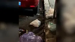 &laquo;Mandria&raquo; di topi all'Esquilino, i residenti filmano: &laquo;Cartolina da Roma!&raquo;
