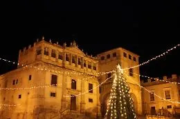 Palma di Montechiaro, la Giunta delibera la "Giornata dell'Albero di Natale"