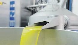 La crisi dell'olio d'oliva: silos pieni, prezzi dimezzati e la minaccia delle importazioni estere