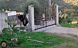Uccisa nel Palermitano, niente ergastolo per l'assassino