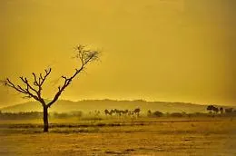 L'Intelligenza artificiale aiuta a prevedere il riscaldamento globale