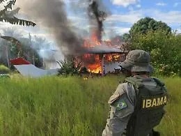 Amazzonia: blitz con elicotteri militari in riserva Yanomami
