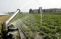 Paura siccit&agrave; in Sicilia: invasi pieni ma l'agricoltura resta in pericolo