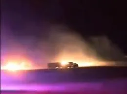 Texas, 18 mila mucche morte nell'incendio di un caseificio