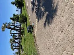 Catania: Il verde urbano in citt&agrave; &egrave; un disastro