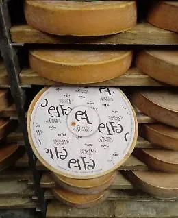 La Fontina "estrema" sbarca in Sicilia e incontra il Ragusano in un contest del gusto