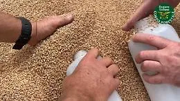 Agricoltura, controlli su una nave di grano estero arrivata a Pozzallo