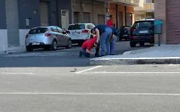 Sparatoria a Gela, due arresti ma &egrave; ancora un mistero il perch&eacute;