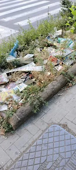 Catania: aiuole &laquo;fiorite&raquo; al Viale Vittorio Veneto