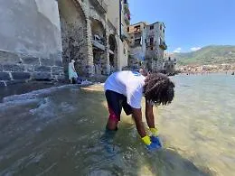 Mare siciliano inquinato, il 61% dei campioni oltre i limiti di legge