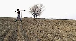 Siccit&agrave; in Sicilia, nuovi sabotaggi alla rete idrica: a rischio gli agrumi della Piana di Catania