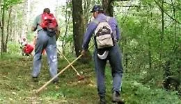 Da due mesi a lavoro, ma senza stipendio: la beffa di 1.500 forestali catanesi
