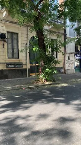 Catania: marciapiedi invasi dalle erbacce in via Plebiscito