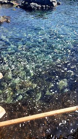 Acireale: mare inquinato a Stazzo
