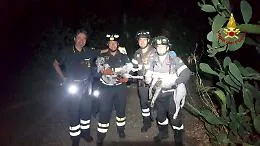 Due cani finiscono in un dirupo: salvati dai vigili del Fuoco con tecnica SAF