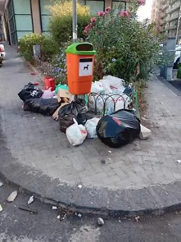 Catania: &laquo;Che bella aiuola!&raquo;