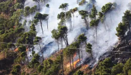 Temperature alte e rischio incendi: allerta arancione a Palermo