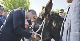 Ambelia, grandeur e oblio del sito nel cuore di Musumeci