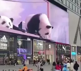 Il display pubblicitario 3D in Cina che lascia di stucco