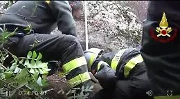 Cagnolino intrappolato in una cavit&agrave; rocciosa: salvato dai vigili del fuoco&nbsp;in Sardegna